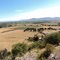 Valle de Colchagua desde la cuesta r.c.a.