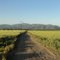 Lindo Sendero