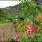 ► Colores primaverales ®