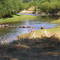 Rio Traiguen