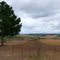 Camino Victoria-Lumaco - Chile