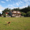 Piedrazo's House