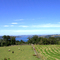 Isla Quinchao, Archipiélago de Chiloé, Chile