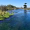Río Ñireco