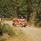 Carreta de bueyes