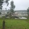 tirua chile