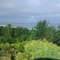 Tirua