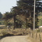 camino