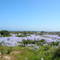 Desierto Florido II, La Serena