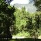bosque camping candria