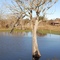 Back Pasture Pond