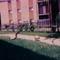 Edgewood Apartments (Live ducks near the pond)