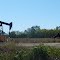 Oil pumps