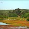 ► Paisaje en el secano costero ®