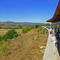 Santiago 77 pan (Matetic Vinyards)