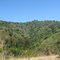 Cerros de Ibacache