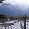 Bosque Muerto