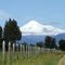 Cerco y Volcan Llaima