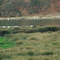 Cahuil y Estero Nilahue