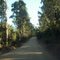 Camino antiguo a Pichilemu