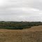 Paisaje agroforestal