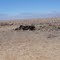 Salar de Atacama brine well