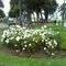 PLAZA DE LLO-LLEO