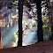 Bosque en San Antonio, Chile