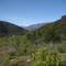 Cerro Mellizas Primer Corral