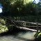 puente de madera