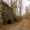 A trail In Silver Mine Park