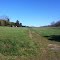 Grass field