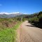 Camino Los Quenes Los Maquis
