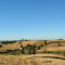 Traiguén (Araucanía), campos de trigo y cebada antes de la trilla