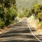 Camino Casablanca - Tapihue