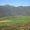Viñas en Casablanca, Cordillera de la Costa