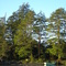 rio blanco, chana