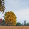 Otoño
