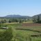 Cumpeo Chile (Cordillera & Campo)