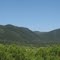 Cumpeo Chile (Cordillera & Campo)
