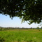 Campos de Cumpeo