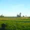 Campos cultivados en Pueblo Seco