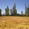 Campo en La Greda
