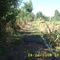 Camino en sector de Colton, San Ignacio