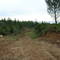 Embalse Digua