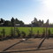 Cancha Las Camelias