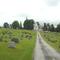 Forks of the Brandywine Presbyterian Cemetery
