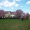 204 Foxtail Lane