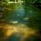 Looking Down Creek - Glenmoore