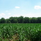 Wide Open Spaces